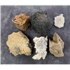 Image 1 : Collection of Mineral Specimens