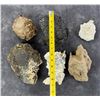 Image 6 : Collection of Mineral Specimens
