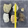 Image 6 : Collection of Mineral Specimens