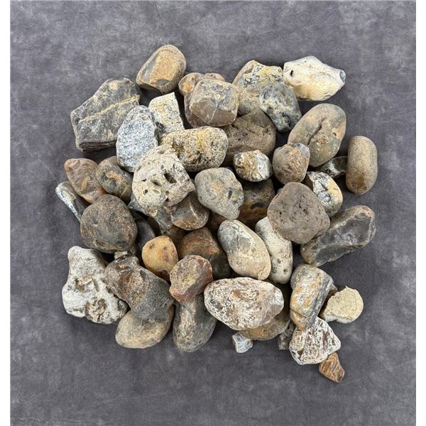 Jewelry Grade Montana Agate Rough
