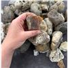 Image 2 : Jewelry Grade Montana Agate Rough