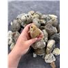 Image 3 : Jewelry Grade Montana Agate Rough