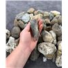 Image 5 : Jewelry Grade Montana Agate Rough