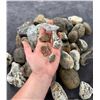 Image 6 : Jewelry Grade Montana Agate Rough