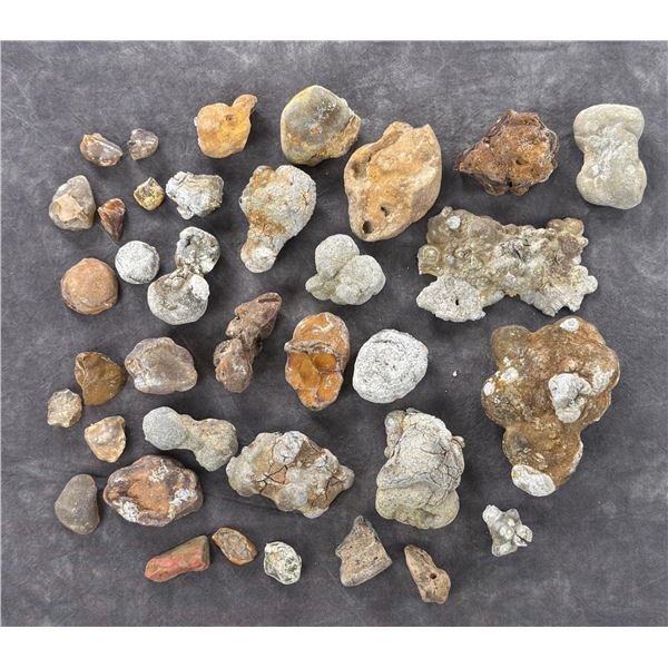 Collection of Concretion Mineral Specimens