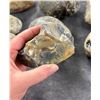 Image 5 : Jewelry Grade Montana Agate Rough