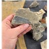 Image 7 : Collection of Fossils