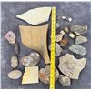 Image 8 : Collection of Fossils