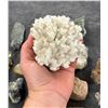 Image 3 : Collection of Mineral Specimens