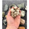 Image 4 : Collection of Mineral Specimens