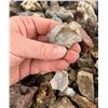 Image 5 : Botryoidal Grape Agate