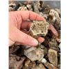 Image 6 : Botryoidal Grape Agate