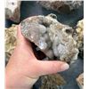 Image 5 : Botryoidal Grape Agate