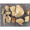 Image 2 : Collection of Fossils