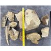 Image 3 : Collection of Fossils