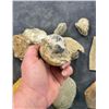 Image 3 : Collection of Mineral Specimens