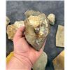 Image 4 : Collection of Mineral Specimens