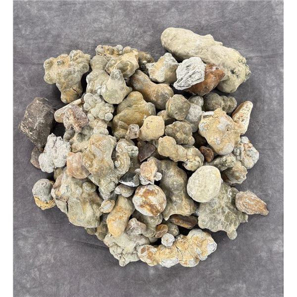 Collection of Concretion Mineral Specimens