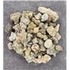 Image 1 : Collection of Concretion Mineral Specimens