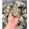 Image 3 : Collection of Concretion Mineral Specimens