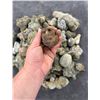 Image 4 : Collection of Concretion Mineral Specimens