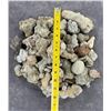 Image 5 : Collection of Concretion Mineral Specimens