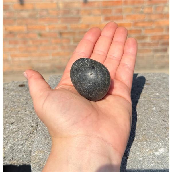 Dinosaur Gastrolith Stomach Stone