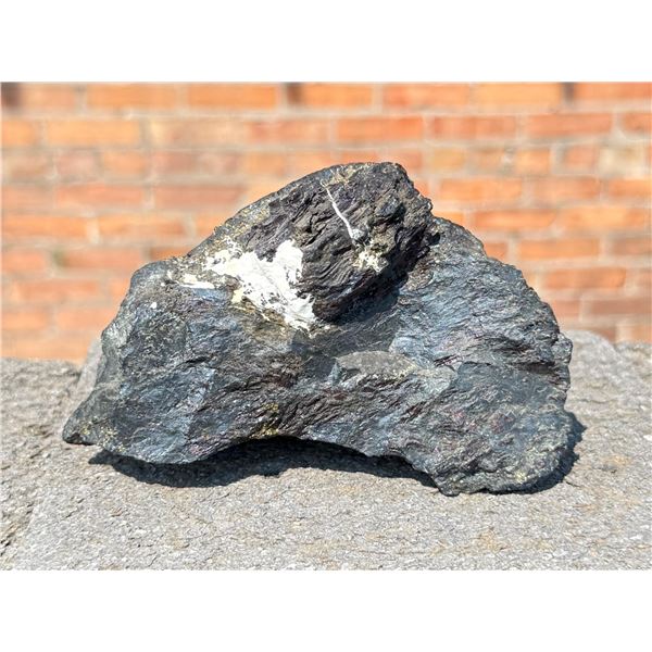 Butte Montana Bornite Mineral Specimen