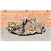 Image 2 : Apophyllite on Pyrite Mineral Specimen
