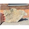 Image 1 : Cave Calcite Mineral Specimen