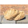 Image 3 : Dolomite Crystal Mineral Specimen