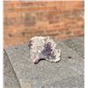 Image 1 : Tombstone Fluorite Mineral Specimen