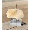 Image 2 : Cave Calcite Mineral Specimen