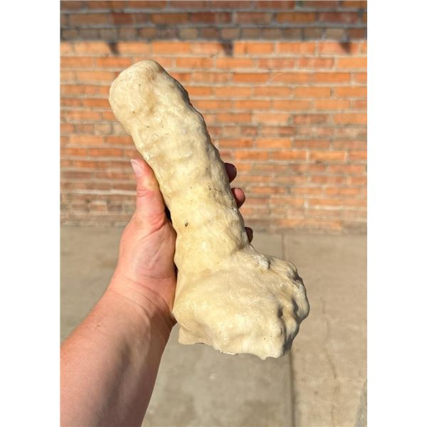 Calcite Cave Stalagmite Mineral Specimen