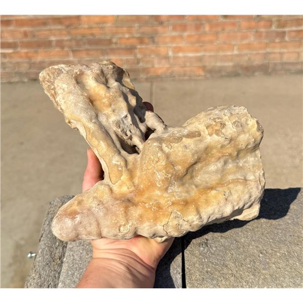 Calcite Cave Stalactite Mineral Specimen