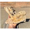 Image 1 : Calcite Cave Stalactite Mineral Specimen