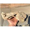 Image 3 : Calcite Cave Stalactite Mineral Specimen