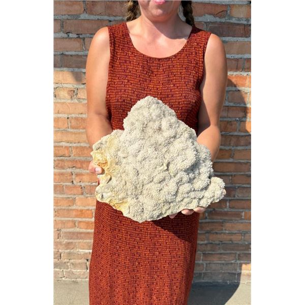 Okenite Mineral Specimen