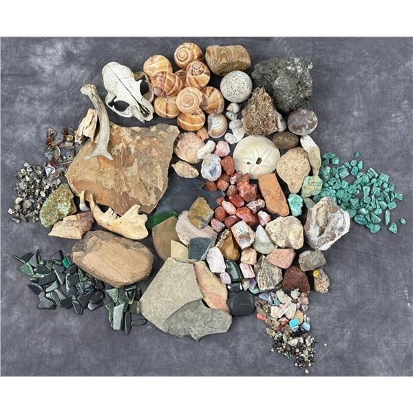 Collection of Mineral Specimens