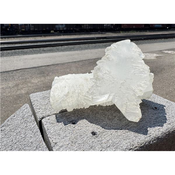 Angel Wing Fishtail Selenite Mineral Specimen