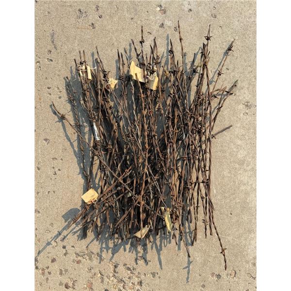 Large Collection of Antique Barbed Barb Wire