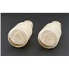 Image 3 : Crystal Creamery Butte Montana Salt & Pepper