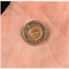 Image 1 : Butte Montana Swimmers Club Pin