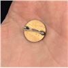 Image 2 : Butte Montana Swimmers Club Pin