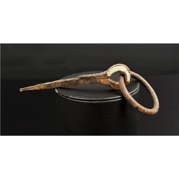 Butte Montana Miners Bird Cage Iron Spike