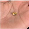 Image 1 : 14K Gold Shriners Lapel Pin