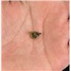 Image 2 : 14K Gold Shriners Lapel Pin