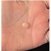Image 3 : Collection of Jewelry Grade Cabochons