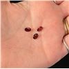 Image 8 : Collection of Jewelry Grade Cabochons