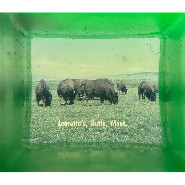 Laurettas Studio Stanhope Viewer Butte Montana
